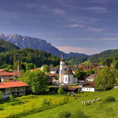 Ciao-aschau Grenzhub 208 Baer *