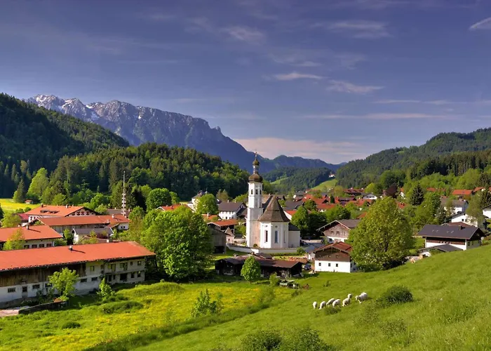 Ciao-aschau Grenzhub 208 Baer *