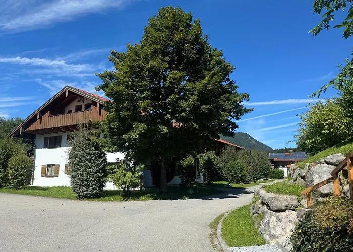 Ciao-aschau Grenzhub 208 Baer